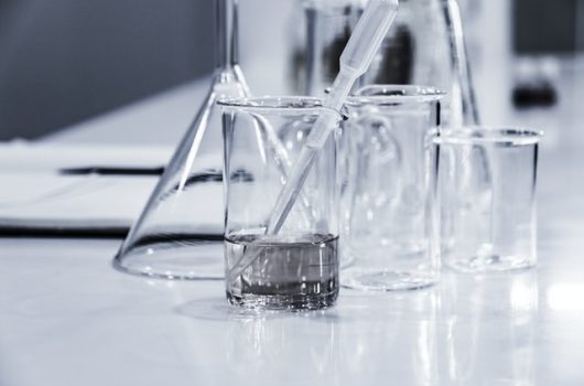 hans-reniers-lQGJCMY5qcM-unsplash (1)ssss